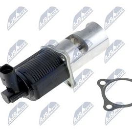 AGR Ventil Opel, Nissan, Renault