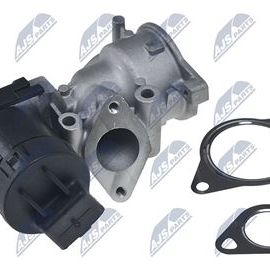 AGR Ventil Citroen, Ford, Peugeot