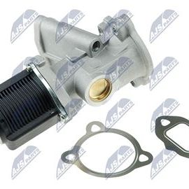 AGR Ventil Fiat, Suzuki