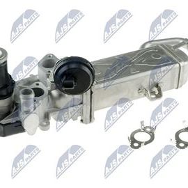 AGR Ventil VW Golf, Passat