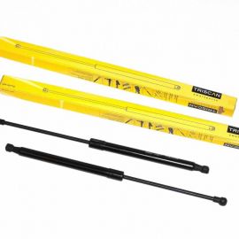 2x plynové vzpery kufra zadné Triscan FIAT MULTIPLA