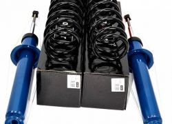 2x tlmiče zadné + pružiny Meyle BMW 5er E39
