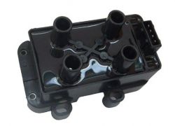 Zapaľovacia cievka na Renault Clio, Kangoo, Megane