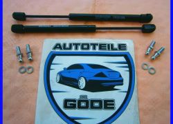 2x tlumiče výklopných dveří Chrysler 300C Touring