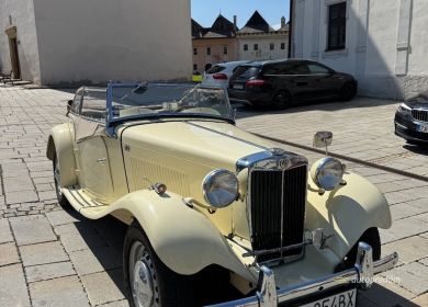 Veteran na predaj (4)